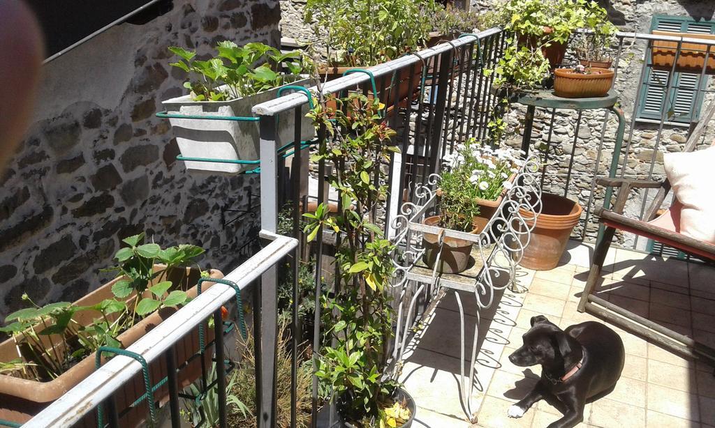 Casa Med Holiday Home Isolabona Kültér fotó