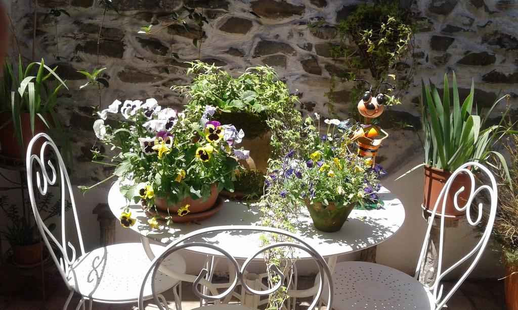 Casa Med Holiday Home Isolabona Kültér fotó